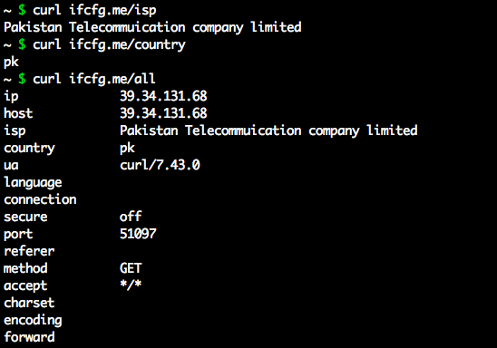 curl ifcfg.me/all