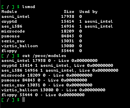 lsmod