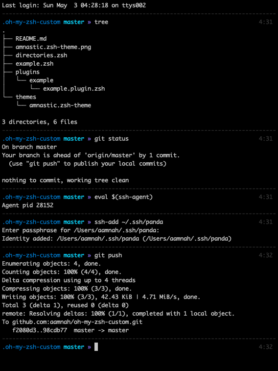 amnastic.zsh-theme.png