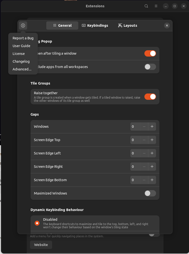 Tiling Assistant find hidden settings
